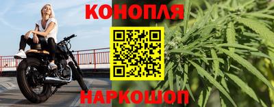 шишки Сланцы