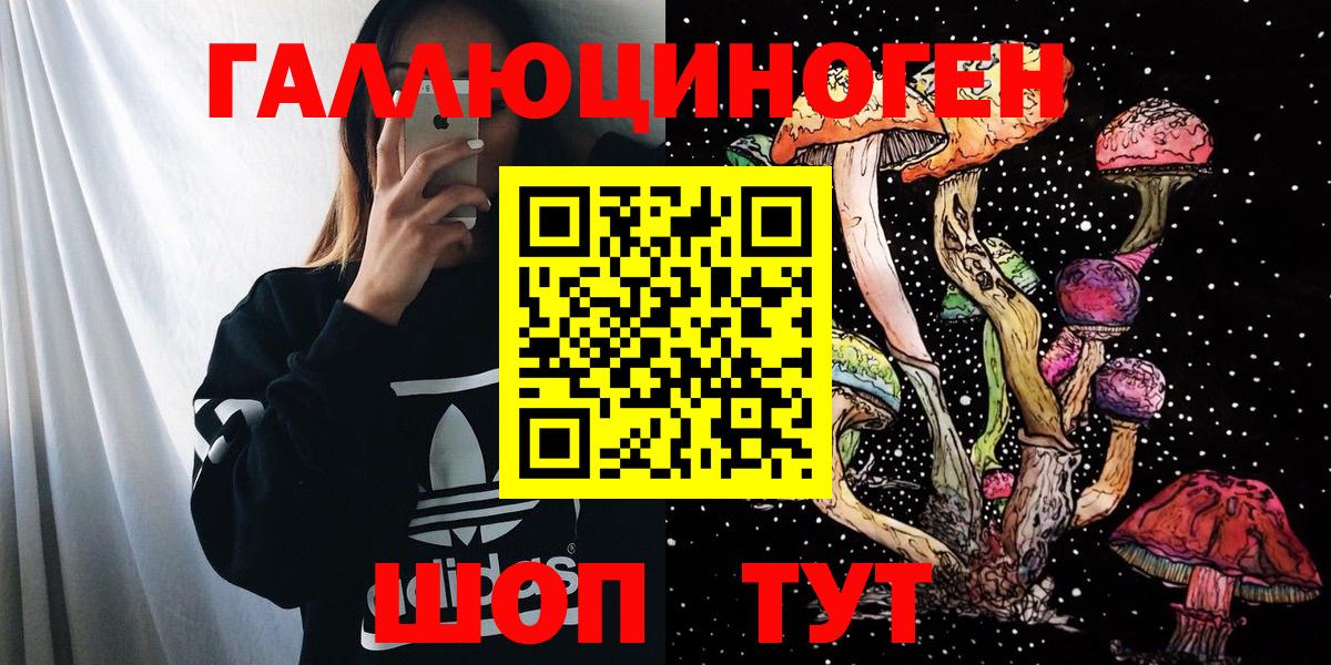Псилоцибиновые грибы Psilocybine cubensis Новороссийск