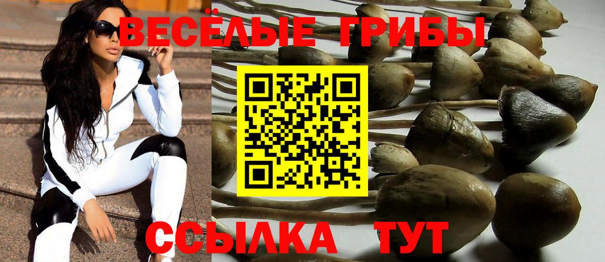 наркотики  Вход с VPN  Новороссийск  Псилоцибиновые грибы Psilocybe 